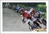 IMG 7625 (Large)